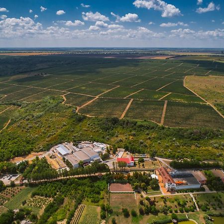 Chateau Purcari المظهر الخارجي الصورة